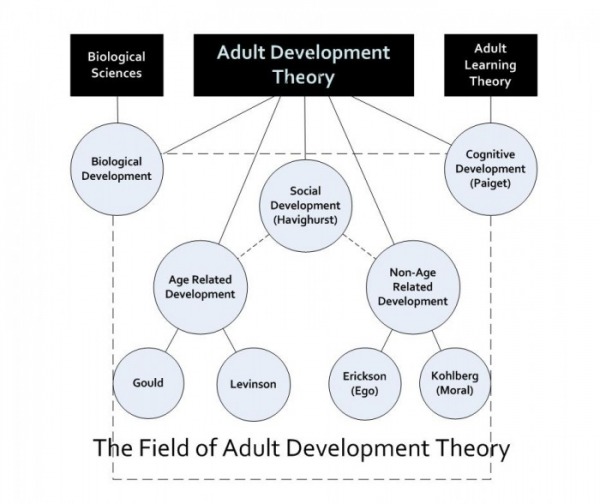 Developmental Theorists Chart